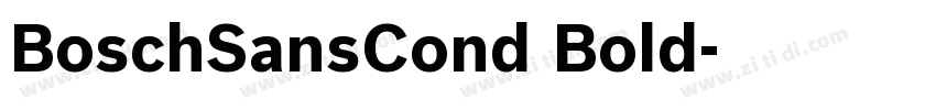 BoschSansCond Bold字体转换